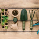 Giardinaggio e agricoltura