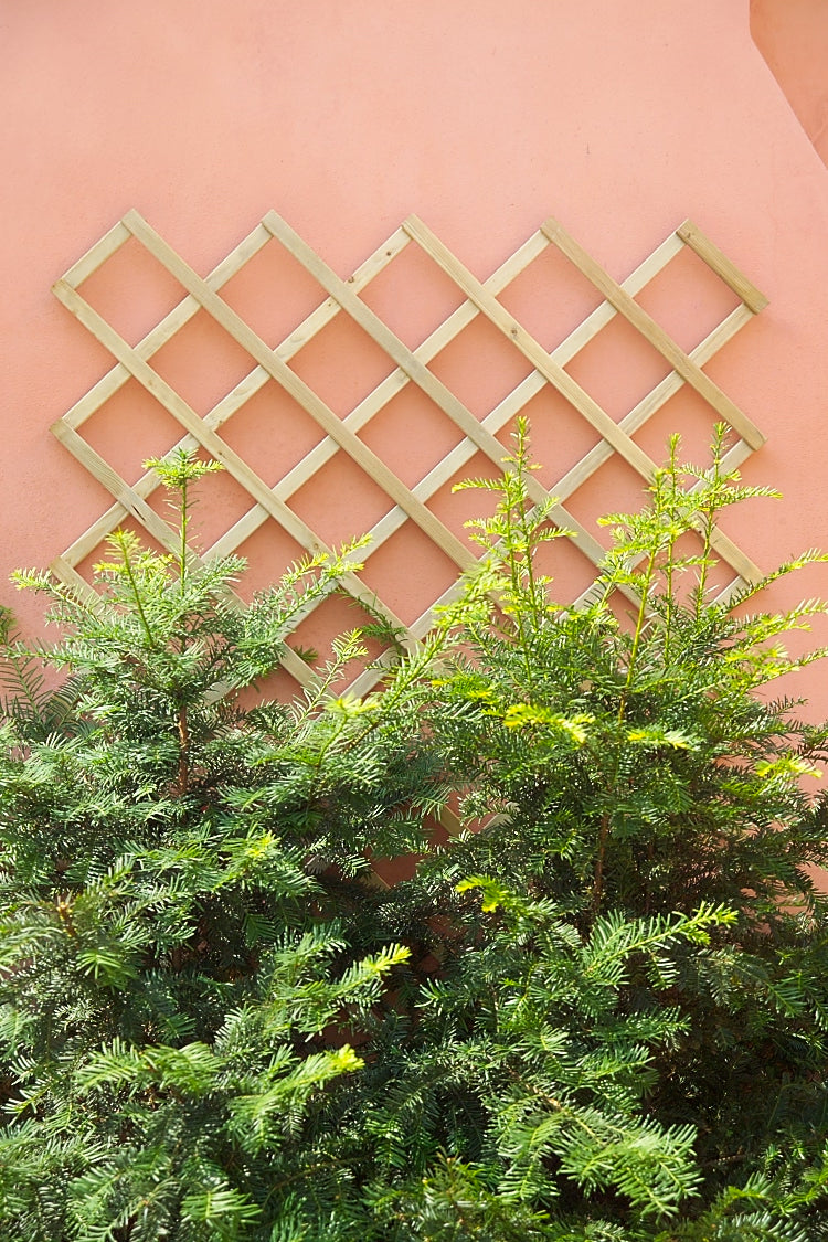 12070369