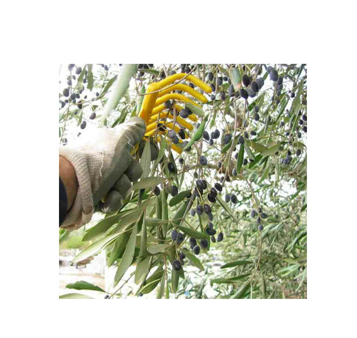 Rastrello per raccolta olive in plastica con denti sagomati, confezione da 20 pezzi
