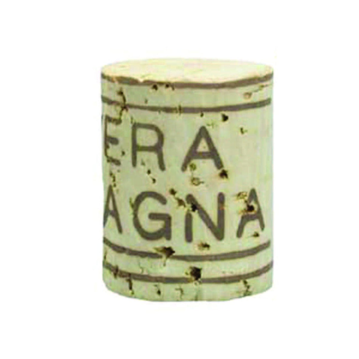18744619