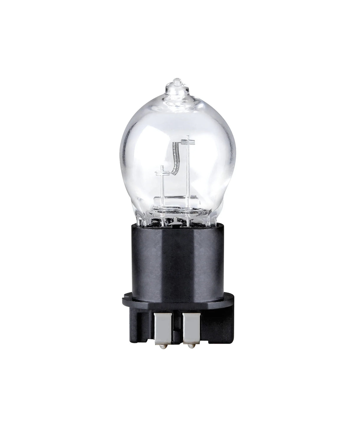 12V Lampada alogena - PW24W - 24W - WP3,3x14,5-3 su fondo bianco