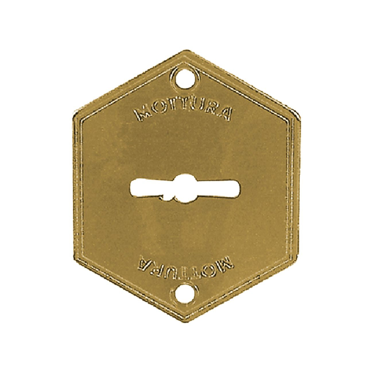 Mostrina esterna art.95223