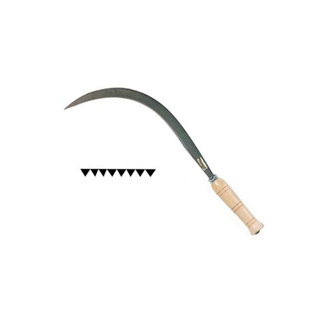 FALCIOLA DENTATA APERTA