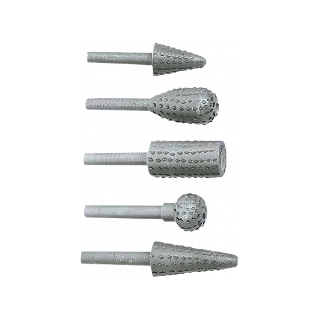 Raspe rotative in set serie 5 pezzi