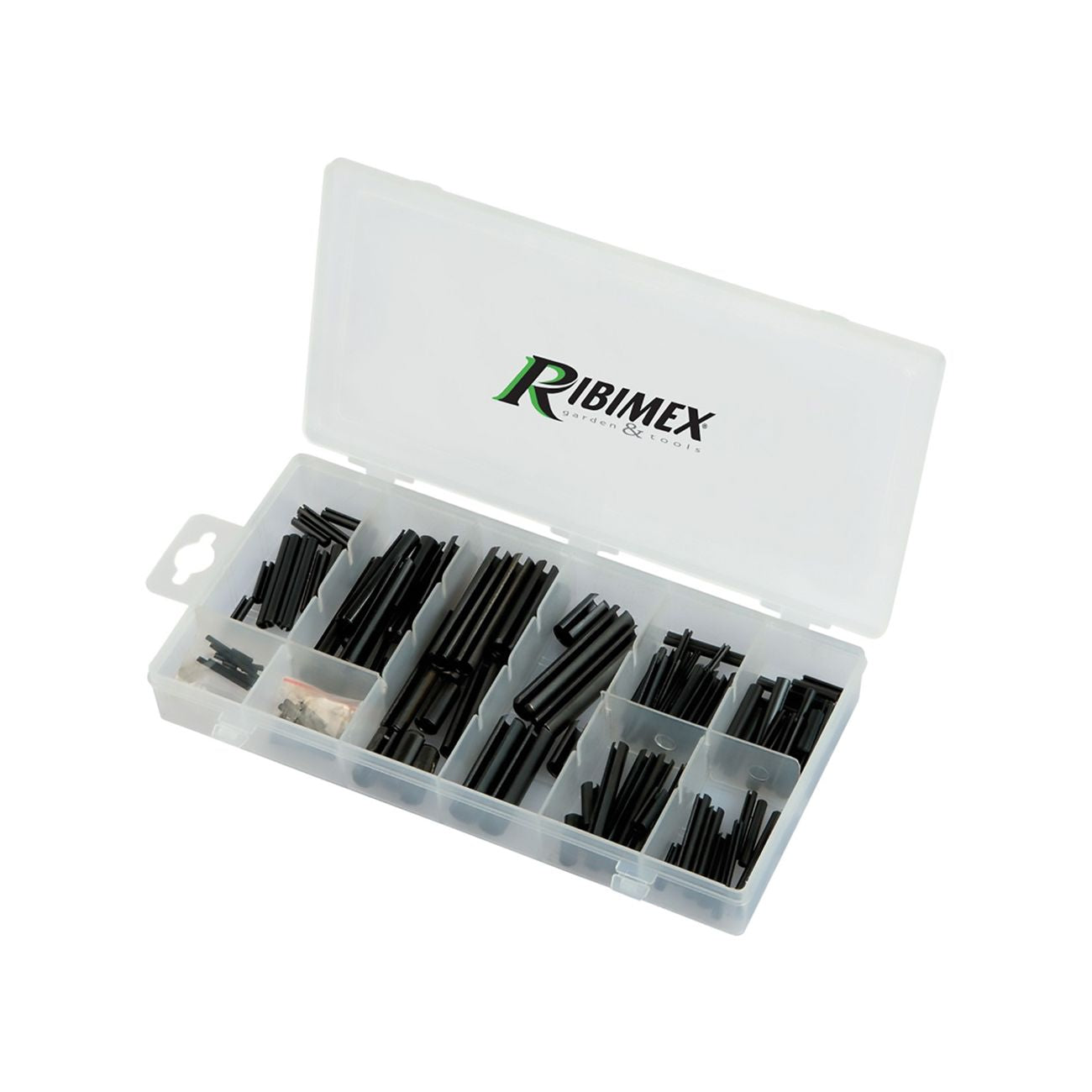 Spine elastiche 120 pezzi assortiti