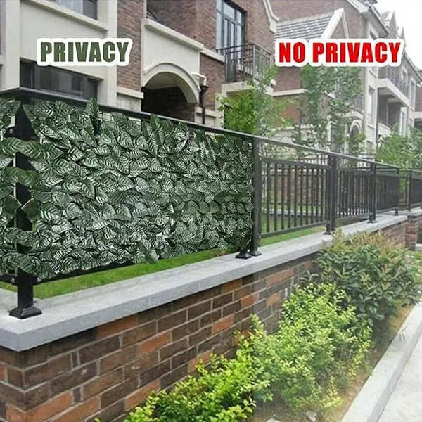 Siepe recinzione ornamentale con foglie di edera - con rete ombreggiante