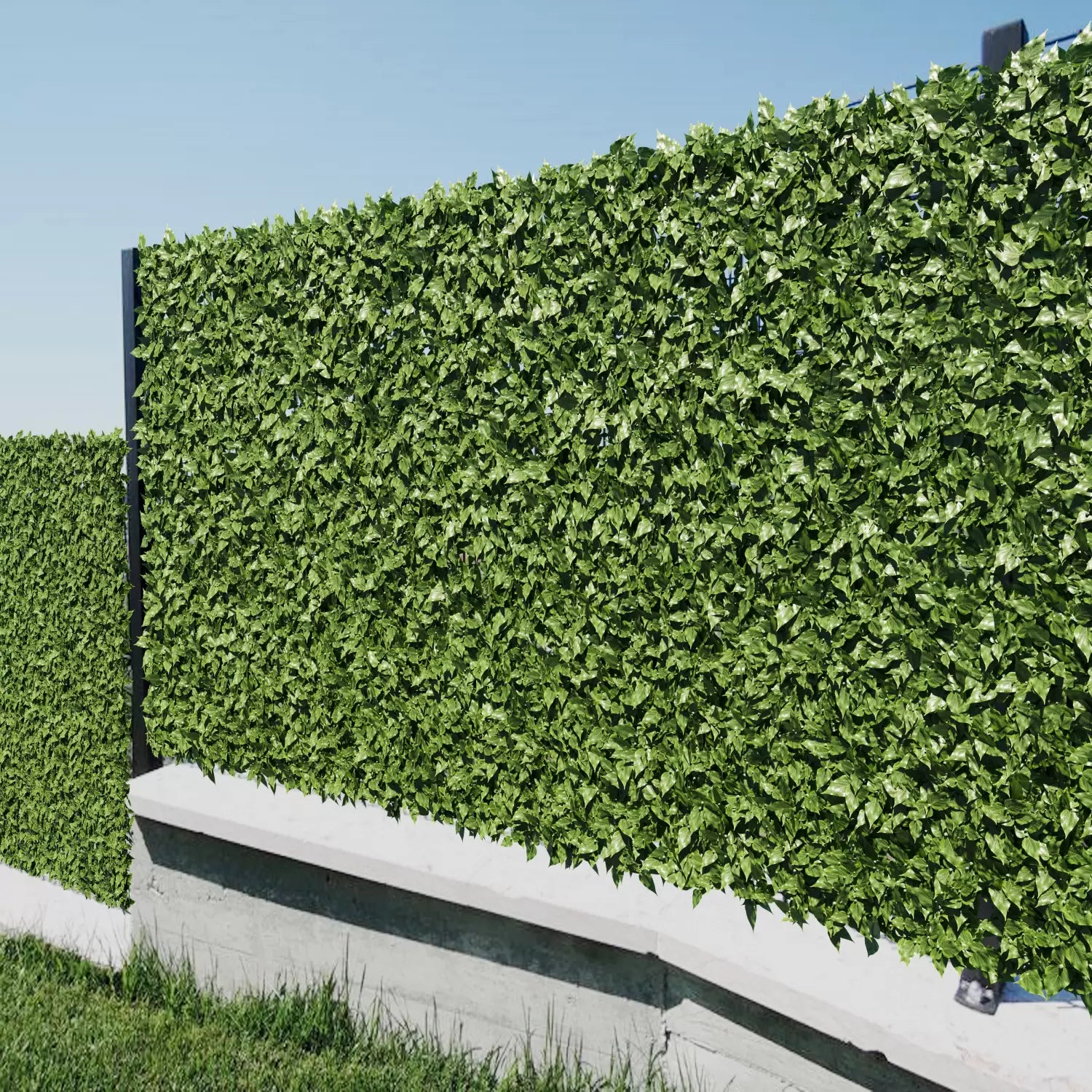 Siepe recinzione ornamentale con foglie di edera - con rete ombreggiante