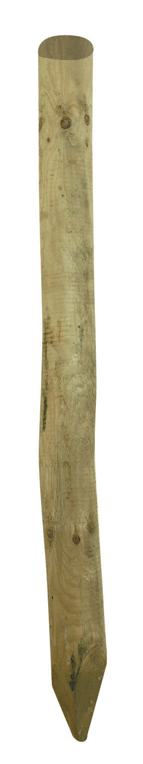 Palo punta in pino impregnato cm. 10x300