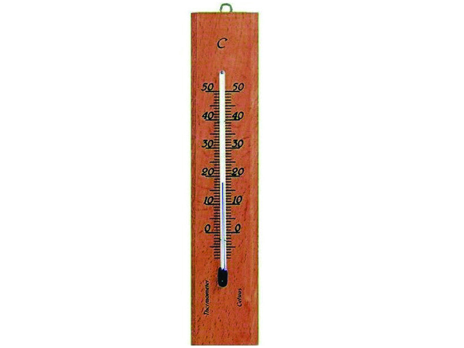 Termometro legno naturale rettangolare - mm.190x40 MOLLETHERM