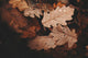 Offerte d'autunno