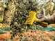 Attrezzature e accessori professionali per la raccolta delle olive, l'enologia e la conservazione.