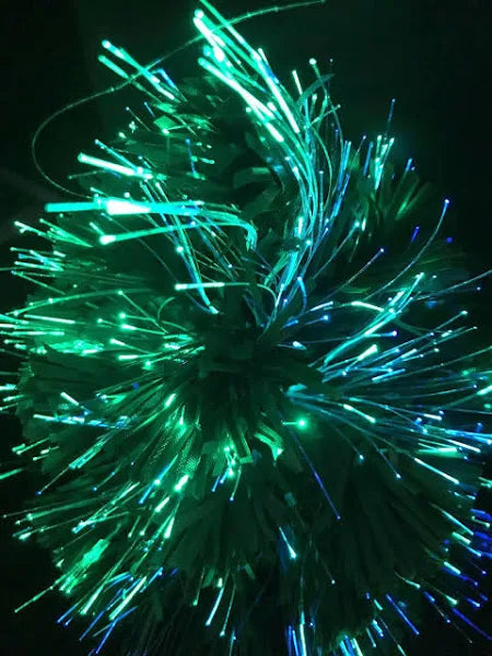 12031876
