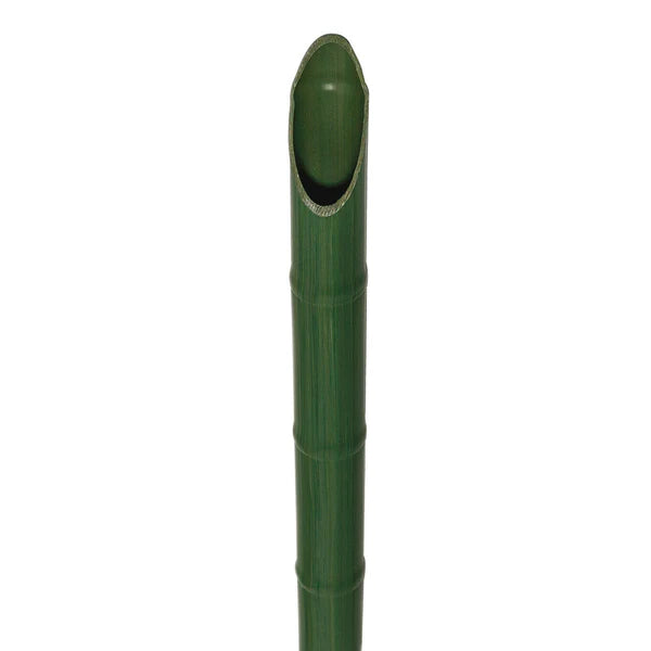 12039908