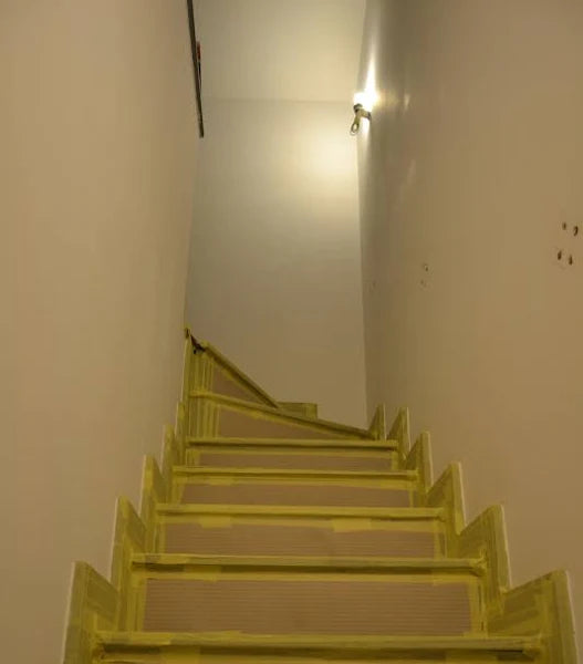 12040779