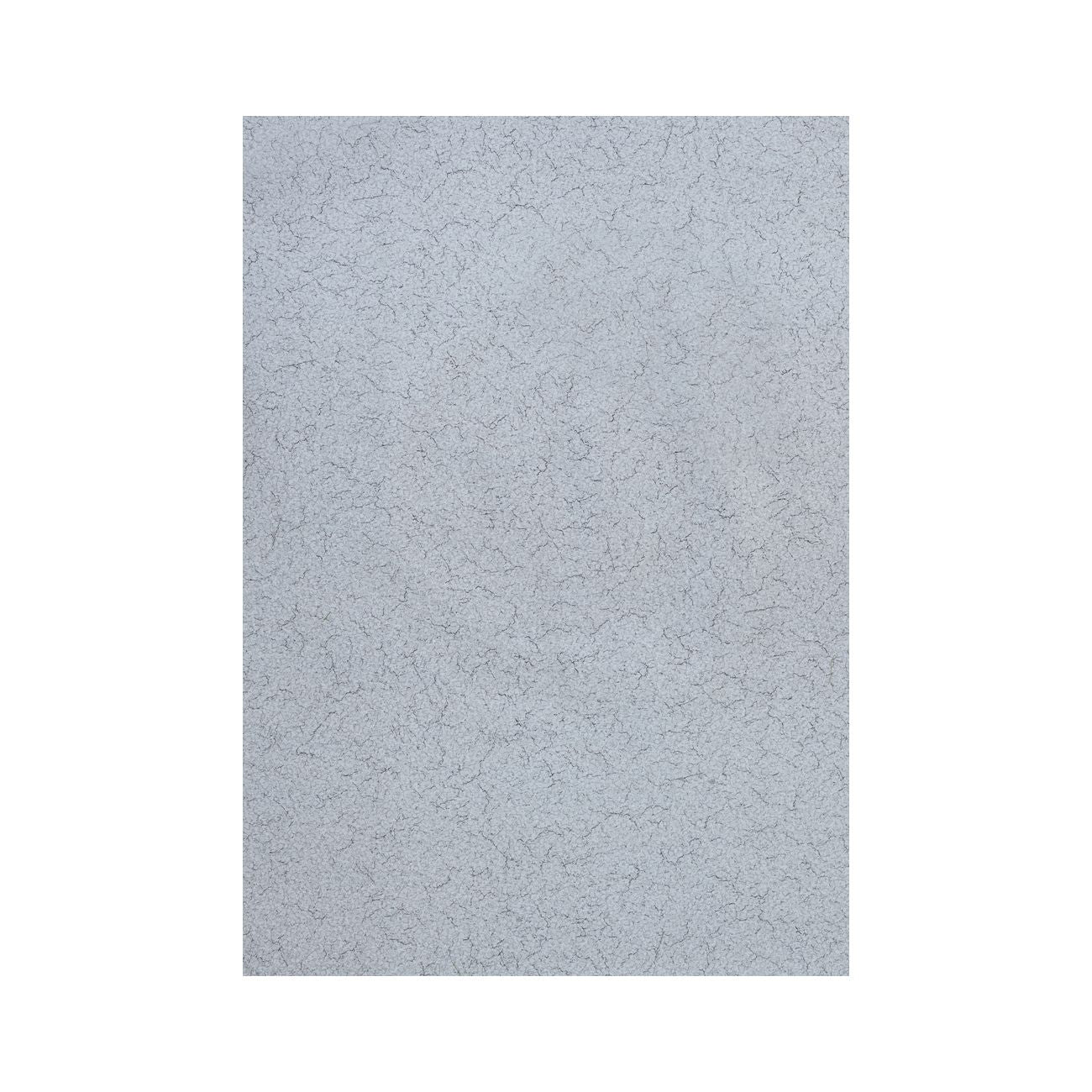 12050369