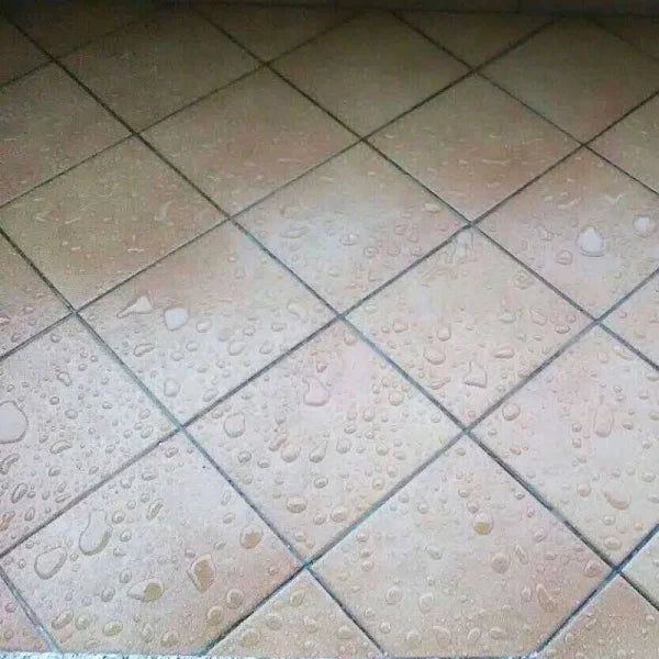 12065543