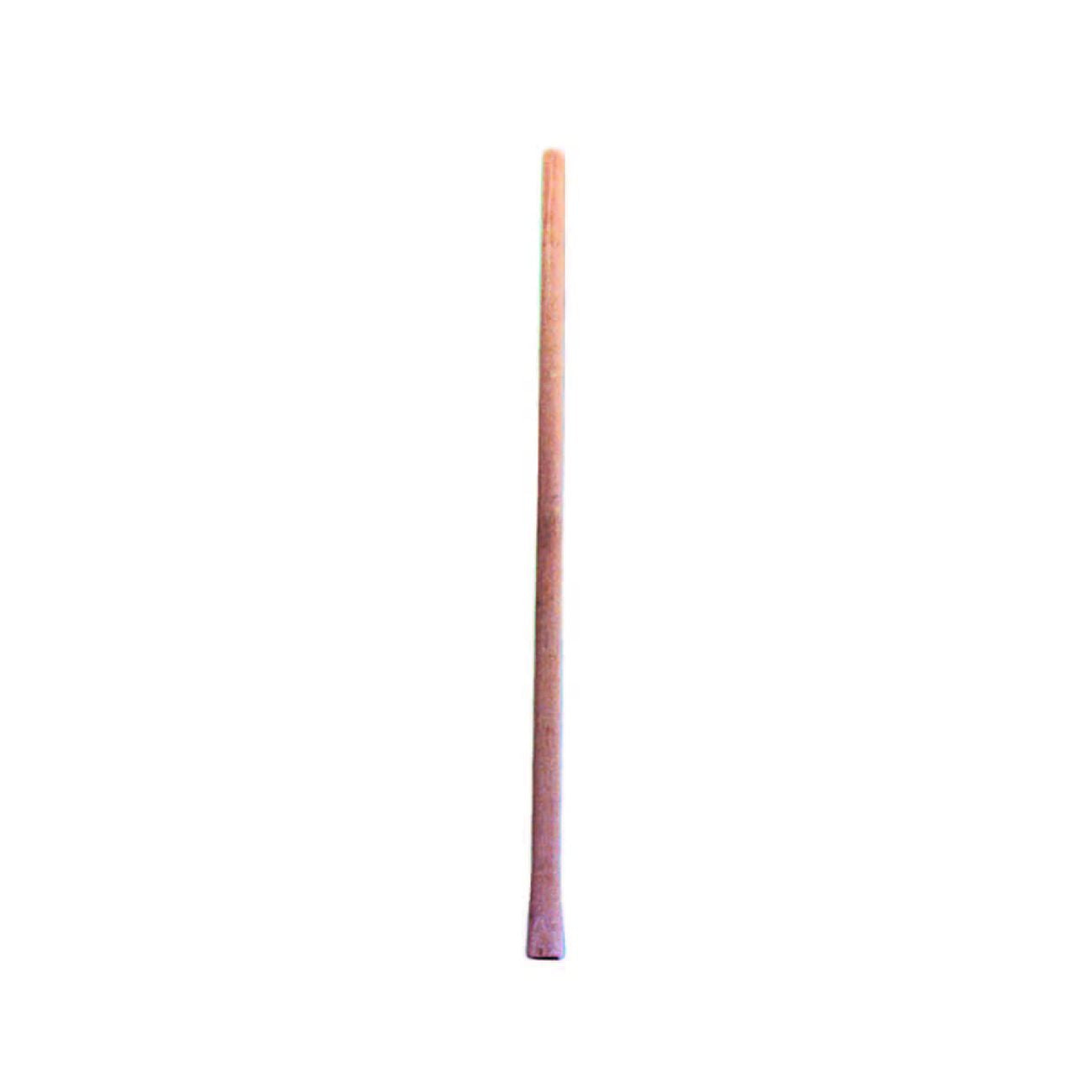 12065729