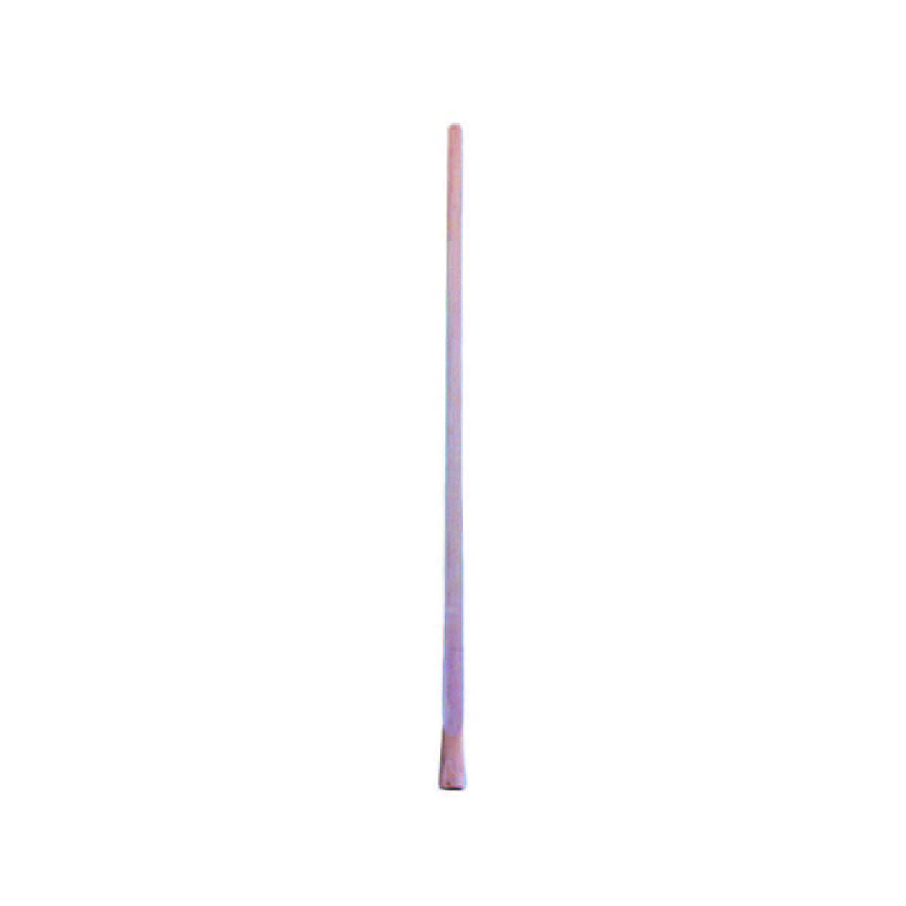 12065747
