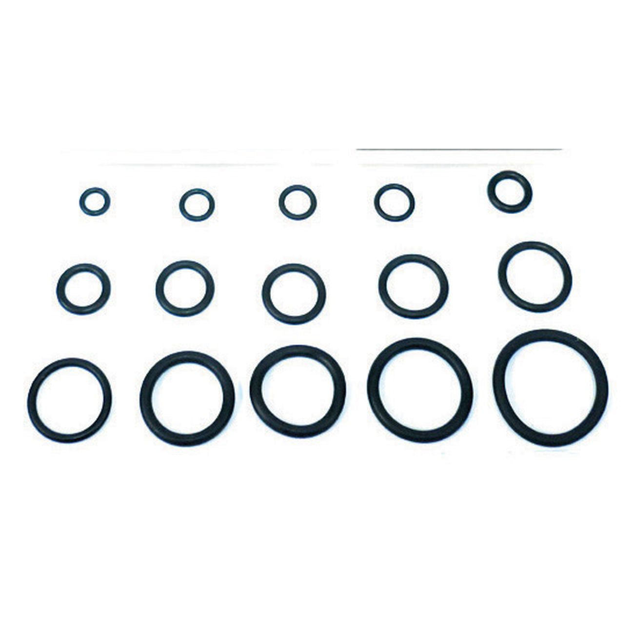 12069216