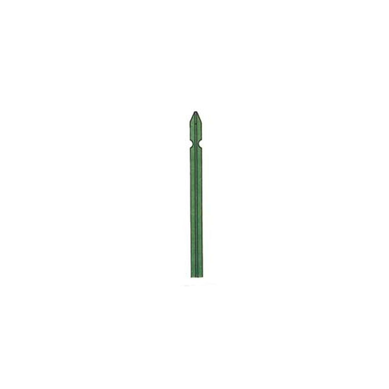 12070159