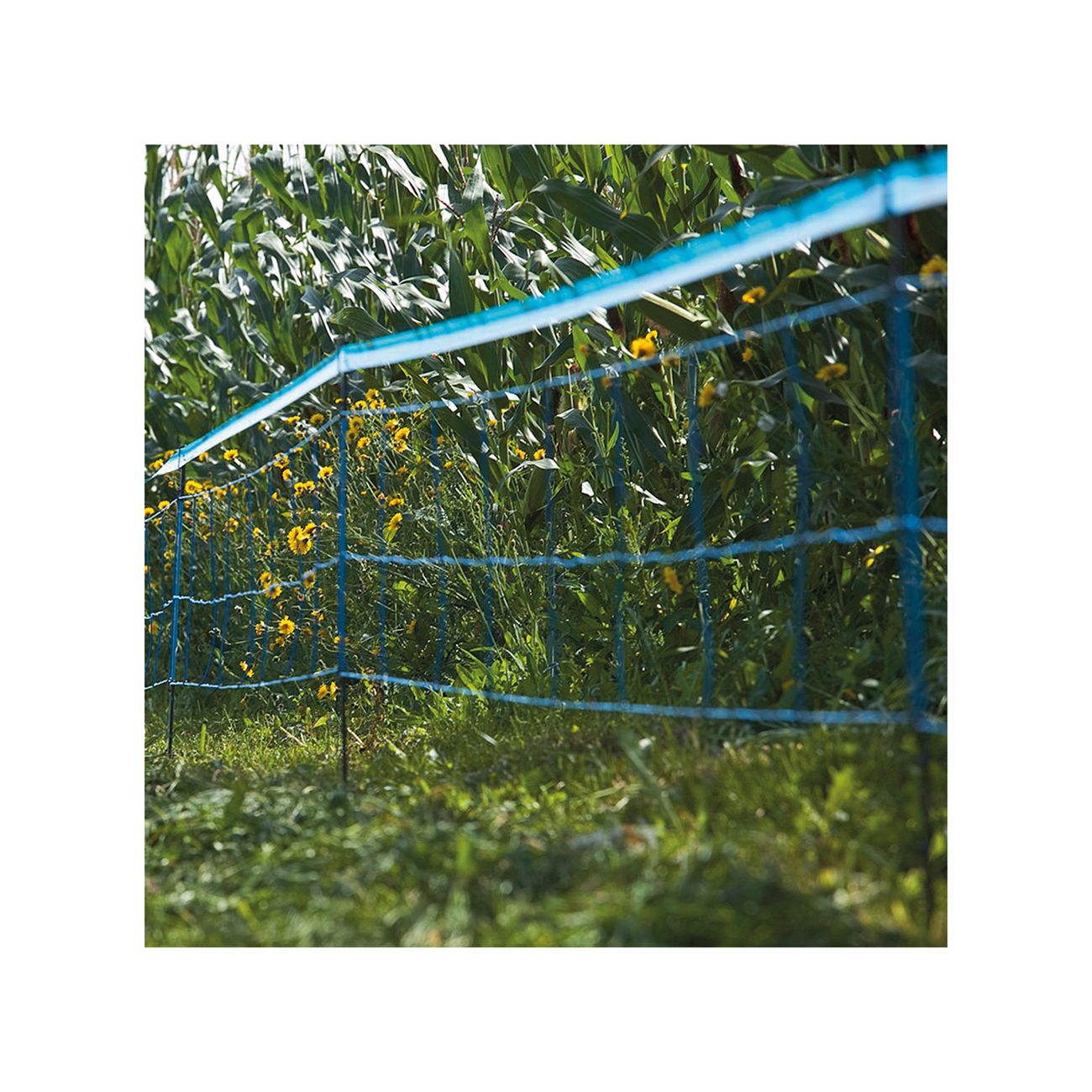12080280