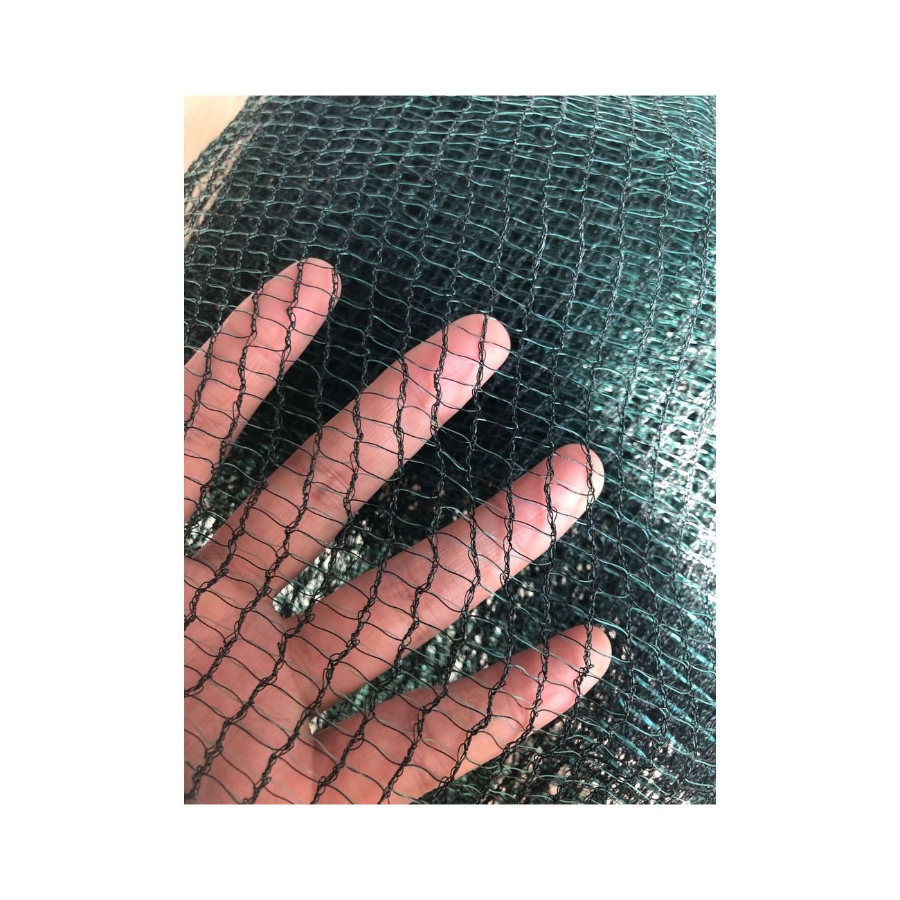 12080297