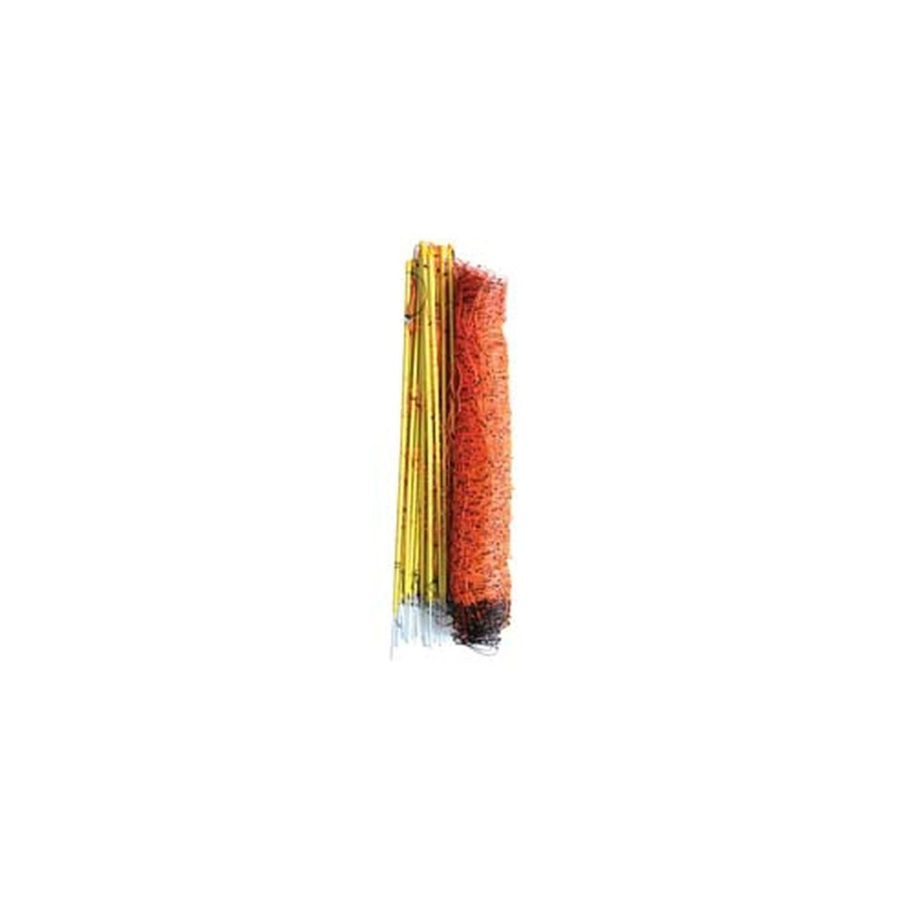 12080298