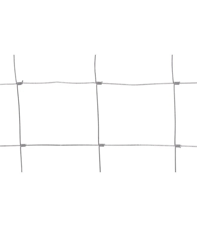 12080354