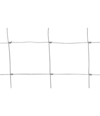 12080354