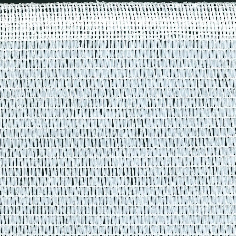 12080421