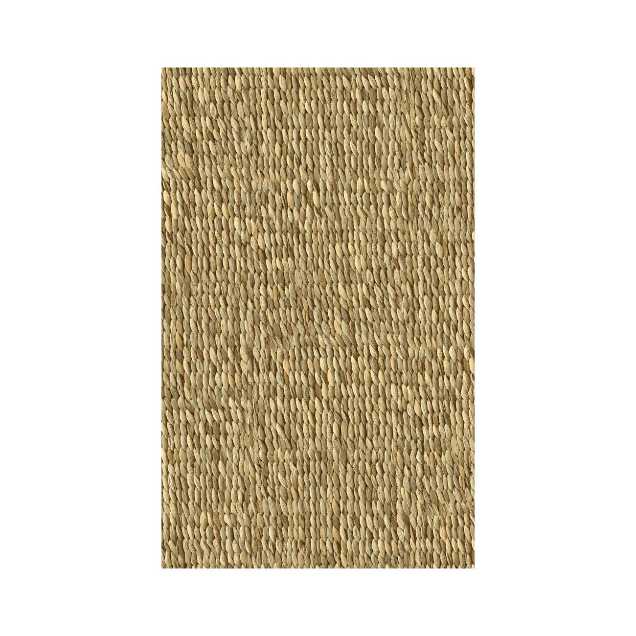 12081352