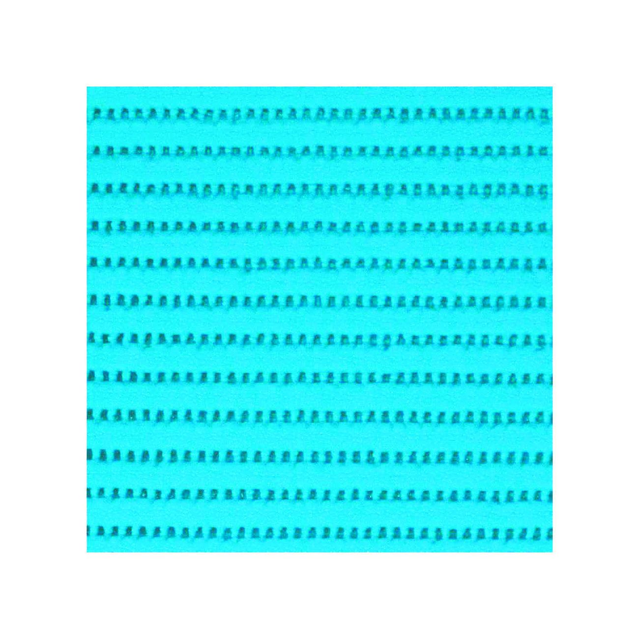 12091448