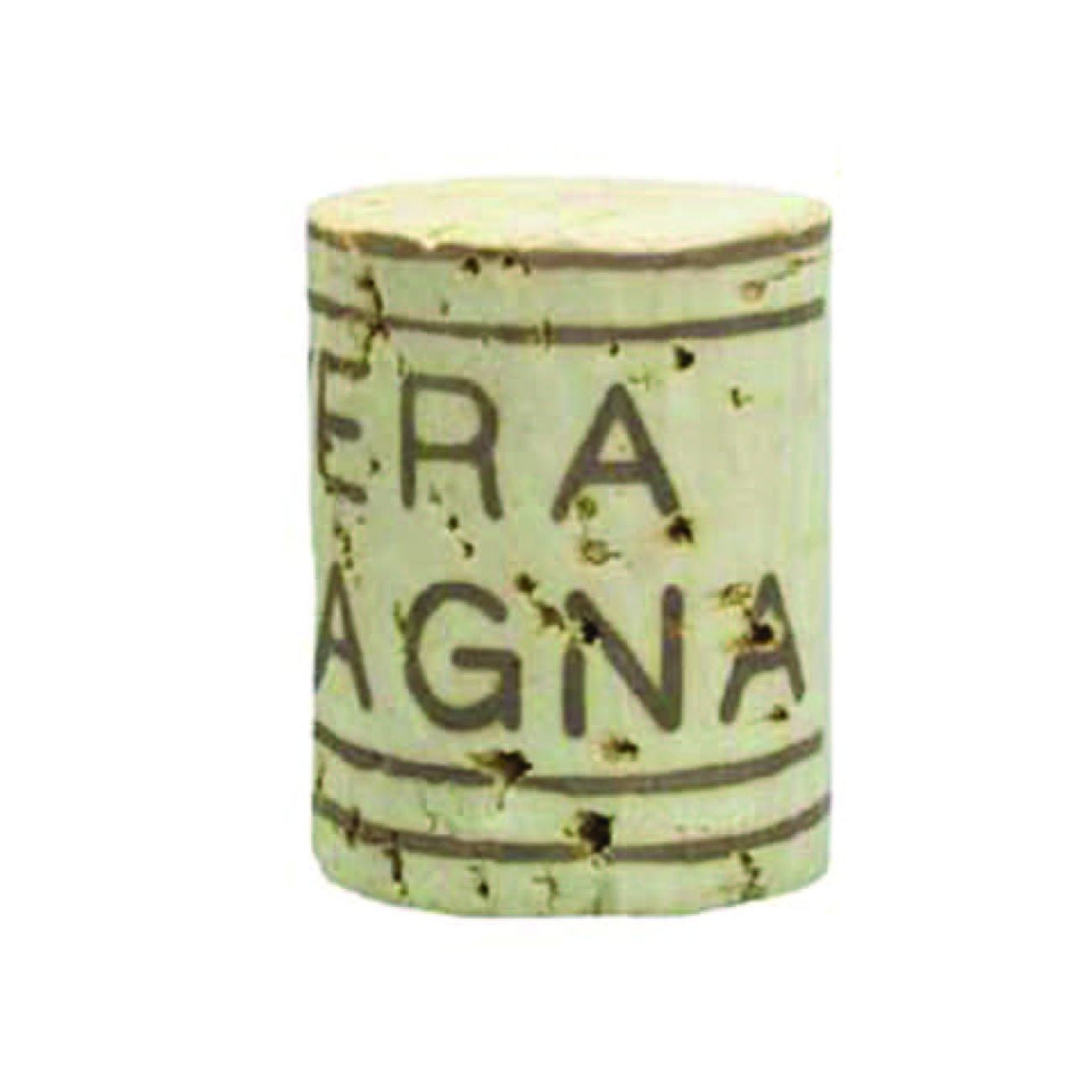 18744621
