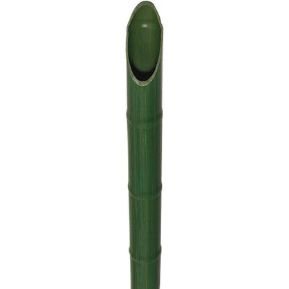 12096565