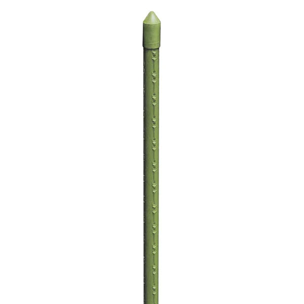 12096567