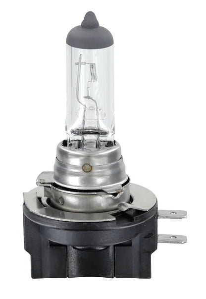 12V Lampada alogena - H11B - 55W - PGJY19-2 - 1 pz su fondo bianco