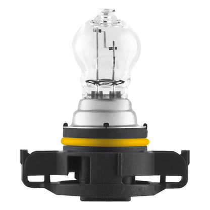 12V Original Line - PS19W - 19W - PG20-1 - 1 pz — affidabile e conveniente