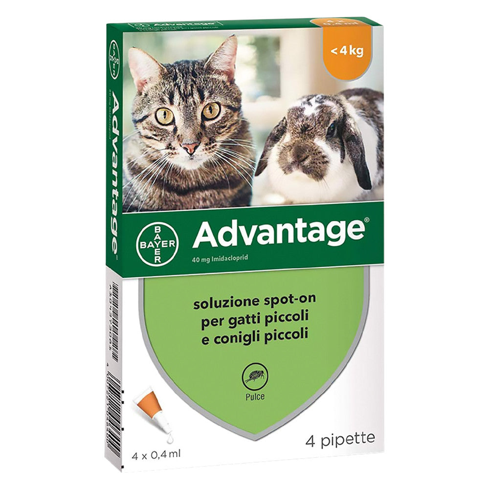 Advantage - 4 pipette - "Spot On" - per gatti e conigli