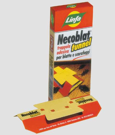 19442253