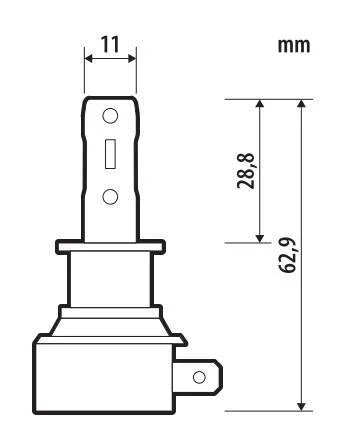 21201010