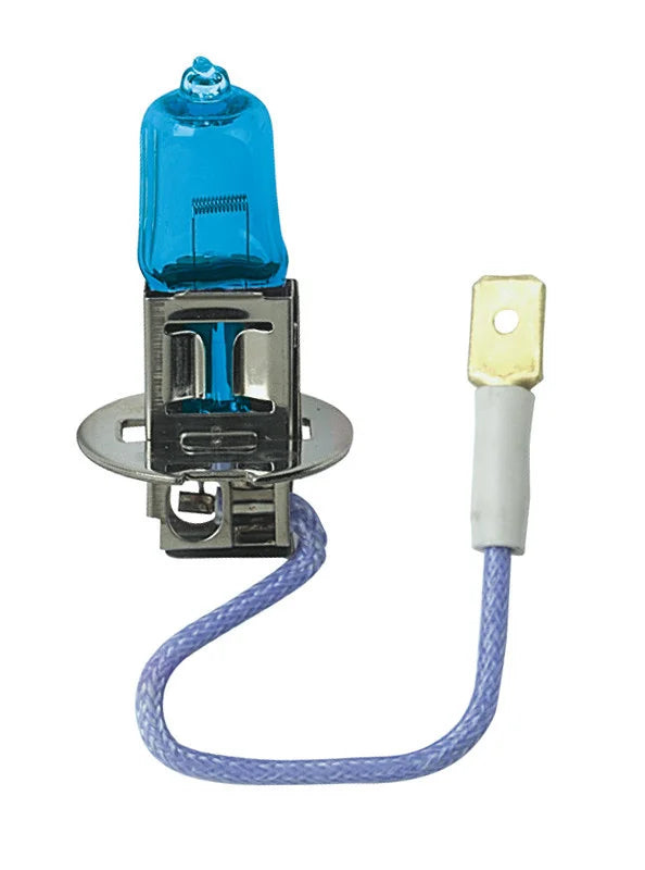 21194859