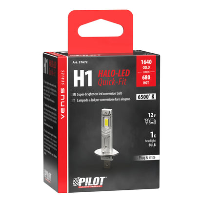 21181931