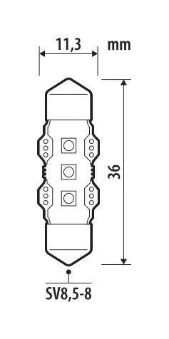 21204522