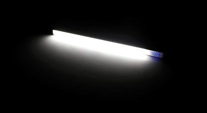 21191904