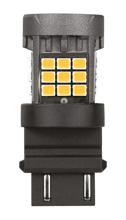 21197837