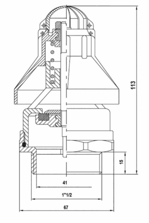 21424526