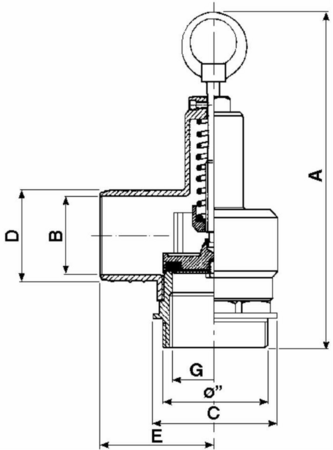 21424549