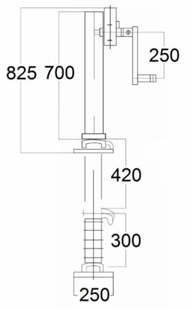 21425556