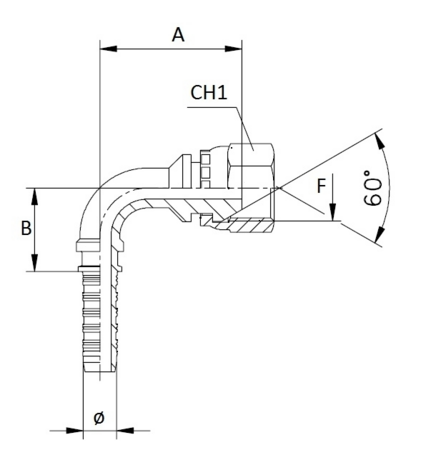 21429562