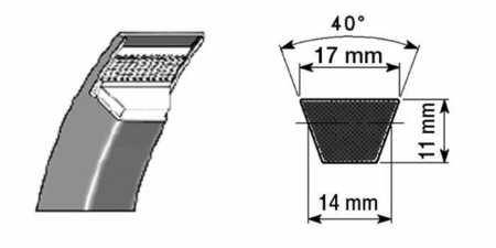 21444004